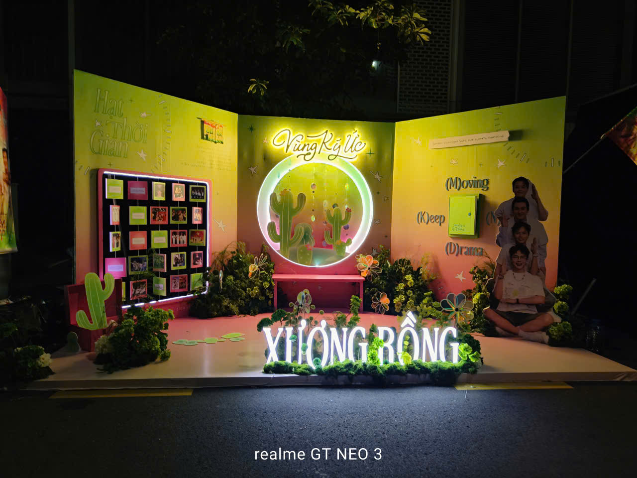 Backdrop check-in Xương Rồng